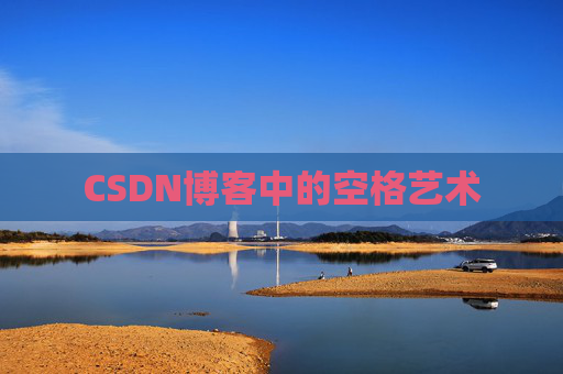 CSDN博客中的空格艺术